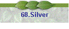 68.Silver
